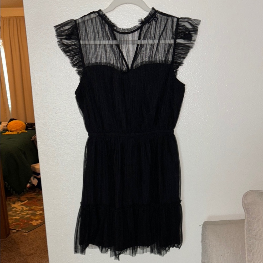 Elegant Black Sheer Dress
